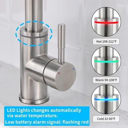 LED Pull Out Kitchen Faucet with Dual Stream Sprayer