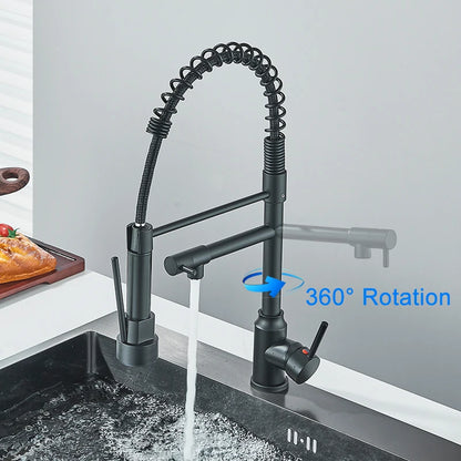 Kitchen Faucet with Pull Down Spring Sprayer
