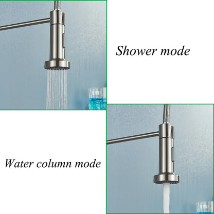 Brushed Nickel Spring Kitchen Faucet with Sprayer