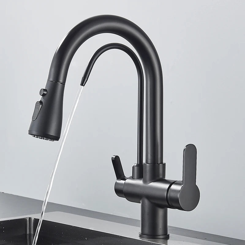 3-Way Filtered Kitchen Faucet with Pull-Out Spray