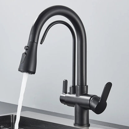3-Way Filtered Kitchen Faucet with Pull-Out Spray