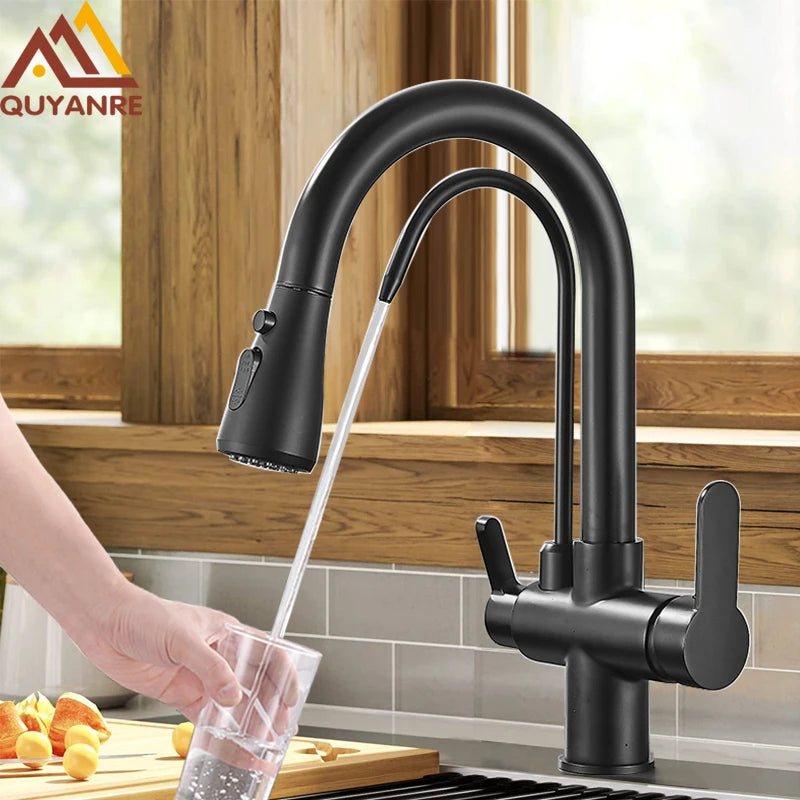 3-Way Filtered Kitchen Faucet with Pull-Out Spray