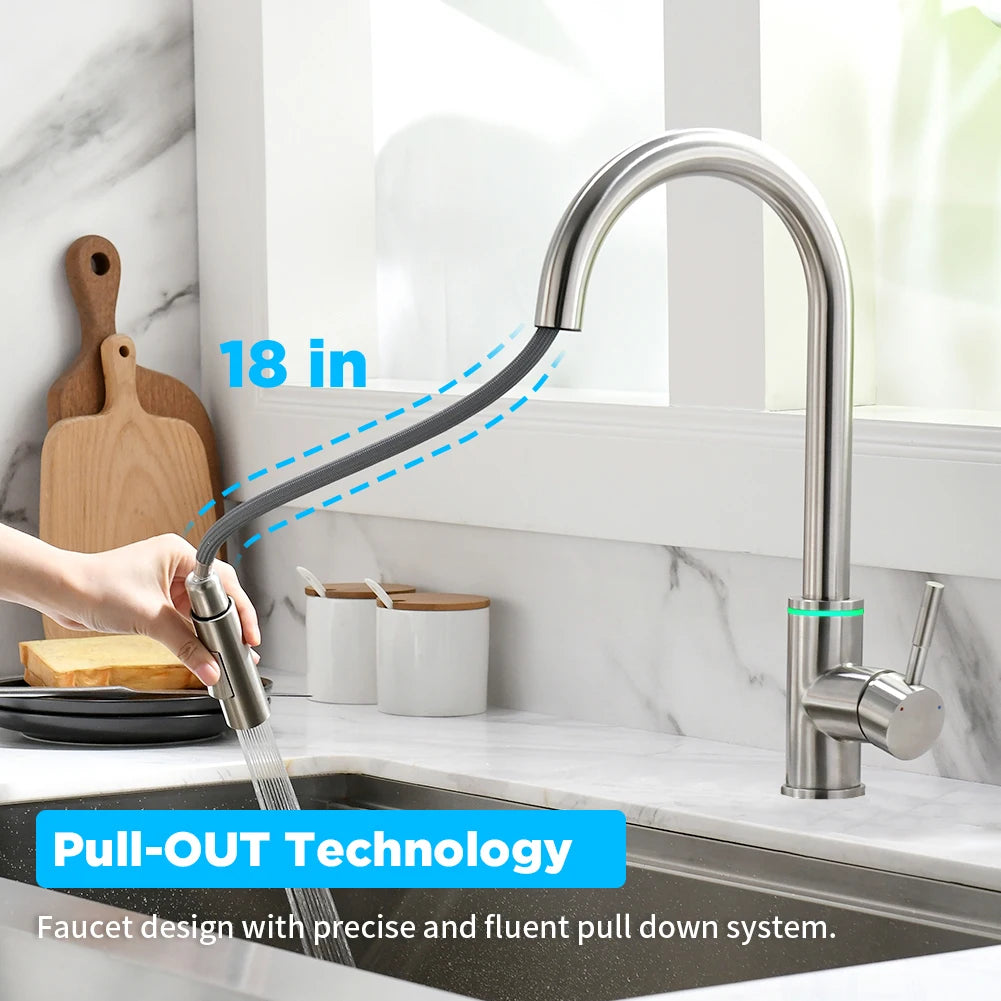 LED Pull Out Kitchen Faucet with Dual Stream Sprayer