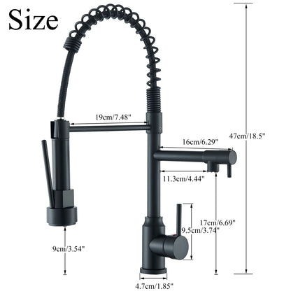 Kitchen Faucet with Pull Down Spring Sprayer